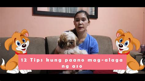 nagpakantot sa alagang aso